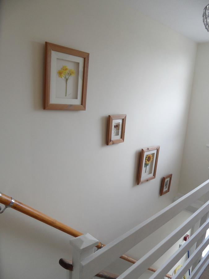 Monterey Pines Bed & Breakfast Helston Luaran gambar